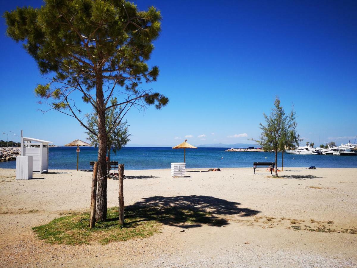 Sea&Sun Glyfada Apartment Ateny Zewnętrze zdjęcie